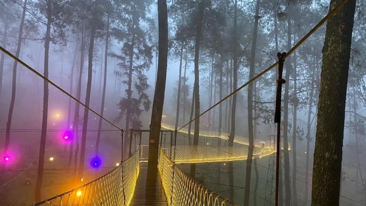 Penampakan indah Orchid Forest Cikole