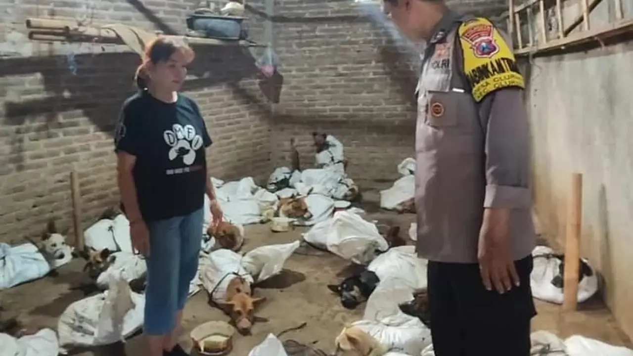 Polisi temukan puluhan anjing di salah satu gudang di Kecamatan Cluring Banyuwangi, Anjing itu dalam kondisi diikat di karung untuk dijual ke Jawa Tengah (Istimewa)