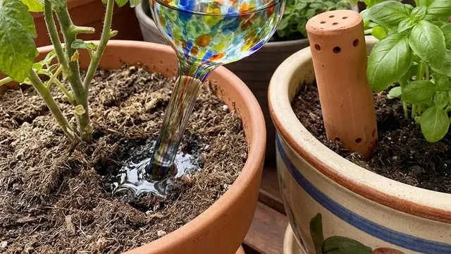 Kebun Sayur Rumah dengan Sistem Siram Otomatis