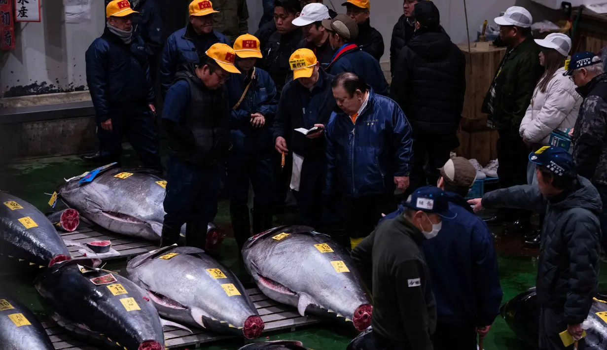 Lelang tahunan ini menarik perhatian global dan menjadi simbol penting dalam industri perikanan Jepang, terutama dalam budaya sushi. Tampak dalam foto, presiden Kiyomura Co. Kiyoshi Kimura (tengah kanan) saat menghadiri lelang tahunan “Tahun Baru” di pasar ikan Toyosu di Tokyo, Senin, 5 Januari 2026. (AP Photo/Louise Delmotte)