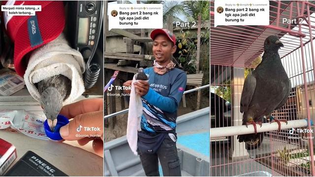 Momen Detik-Detik Penyelamatan Burung yang Terjatuh ke Laut, Tuai Pujian
