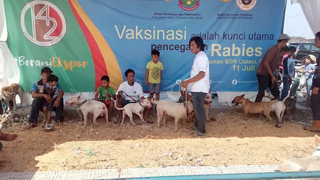 Belasan anjing asal Garut tengah mengantri untuk mendapatkan vaksin rabies Gratis dari pemerintah
