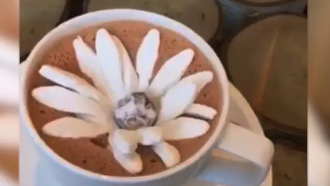 [Bintang] Menyaksikan Uniknya Marshmallow Mekar di Atas Cokelat Panas