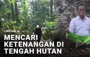 Mencari Ketenangan di Tengah Hutan