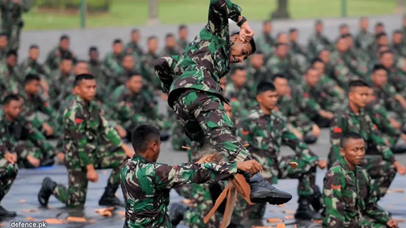 tni-karate-130921b.jpg