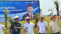 Jurus Menko Pangan Capai Target Swasembada Pangan 2028