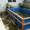 Cara Membuat Kolam Ikan di Rumah Subsidi Tanpa Menggali Tanah, Hemat Biaya