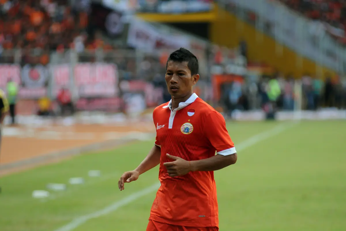Ismed Sofyan