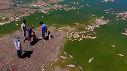 Sejumlah pria berdiri di tepi Sungai Salado di mana ikan mati menumpuk, Provinsi Buenos Aires, Argentina, 22 Januari 2023. (AP Photo/Natacha Pisarenko)