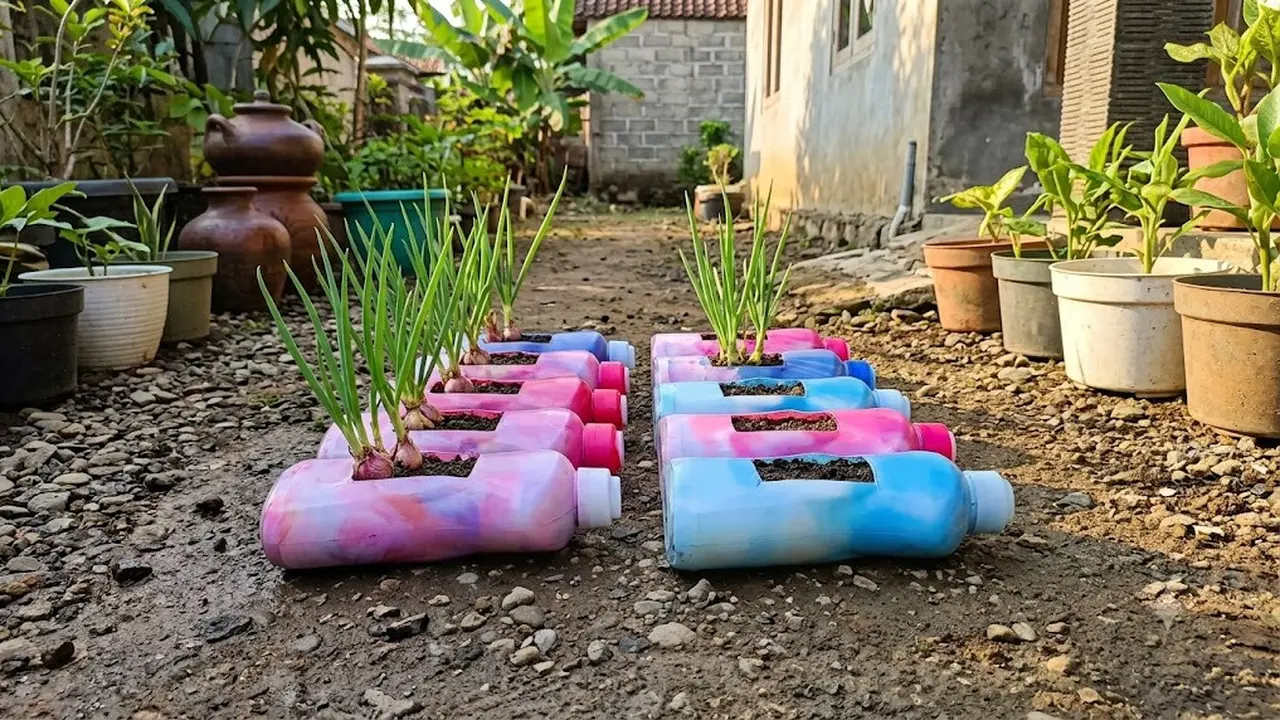 Tanaman yang Cocok Ditanam di Botol Bekas Detergen 700 ml untuk Kebun Mini
