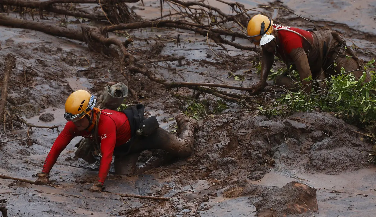 Petugas mencoba mencari korban yang hilang akibat bendungan yang dimiliki oleh Vale SA dan BHP Billiton Ltd hancur dan menhantam kawasan Mariana, Brazil, (8/11/2015).  Dua orang tewas dan puluhan orang hilang akibat peristiwa ini. (REUTERS/Ricardo Moraes)