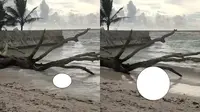Jenazah Tanpa Kepala dan Tangan Ditemukan di Pantai Walur Pesisir Barat