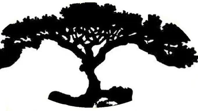 copyright boldsky.com