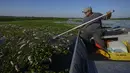 Analisis awal memperkirakan bahwa antara 10 dan 20 ton ikan mati di sungai Piracicaba, kata jaksa Sao Paulo dalam sebuah siaran pers. (AP Photo/Andre Penner)
