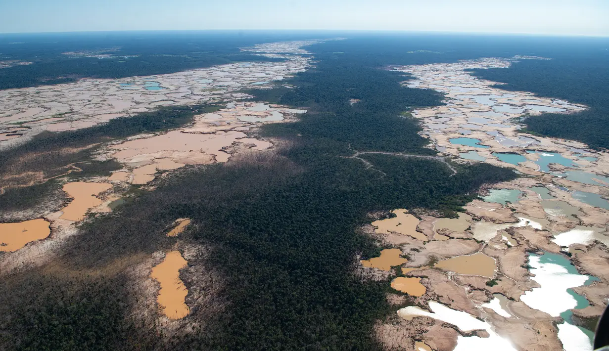 Pandangan udara kawasan Hutan Amazon yang terdeforestasi (penurunan luas area hutan secara kualitas dan kuantitas) di wilayah Sungai Madre de Dios, Peru, Jumat (17/5/2019). Penambangan ilegal merusak ekologis yang tak dapat dipulihkan pada lebih dari 11.000 hektare Hutan Amazon. (CRIS BOURONCLE/AFP)