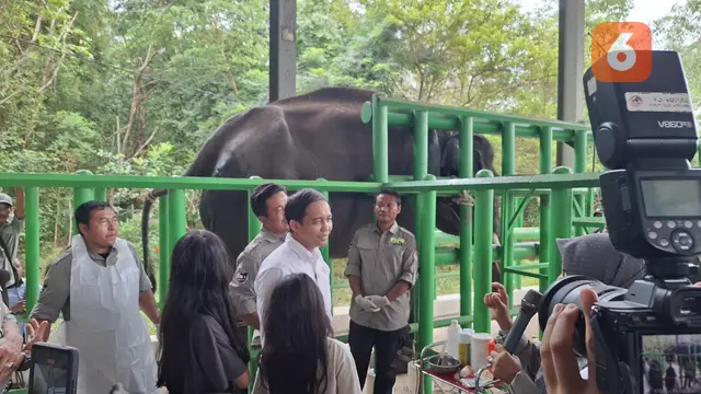 Menhut janji tambah fasilitas alat kesehatan di Rumah Sakit Gajah Prof. Dr. Ir. Rubini Atmawidjaja di TNWK, Lampung Timur. Foto : (Liputan6.com/Ardi).