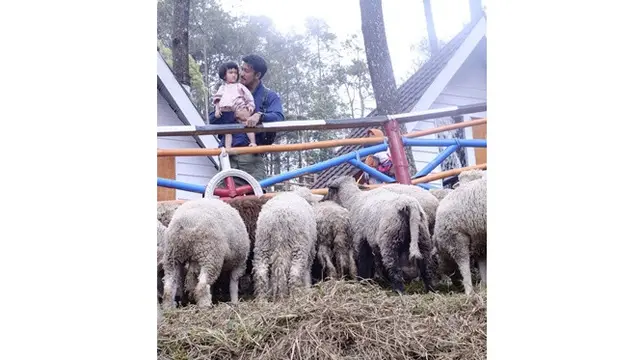 6 Momen Rio Dewanto Asuh Putrinya, Akui Ingin Punya Banyak Anak
