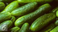 Ilustrasi Sayur Mentimun (iStockphoto)