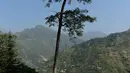 Pedro Jose de Sousa Campos dari Portugal bersaing dalam lomba sepeda gunung Himalaya MTB di dekat Mandi, Himachal Pradesh, India utara (4/10). Lomba ini dimulai di Shimla 29 September dan selesai 7 Oktober di Dharamshala. (AFP Photo/Sajjad Hussain)