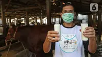 Petugas menunjukkan hasil susu sapi di pertenakan sapi, Pengadegan, Jakarta, Sabtu (14/11/2020). Dinas KPKP DKI meningkatkan produksi ternak sapi dan kerbau melalui metode Inseminasi Buatan atau kawin suntik, pemeriksaan kebuntingan dan penanganan ganggunan reproduksi. (Liputan6.com/Herman Zakharia)