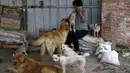 Yang Xiaoyun bersama sejumlah anjing di tempat penampungan yang dikelolanya di Tianjin, China, Rabu (8/7). Yang Xiaoyun dikabarkan telah mengeluarkan uang sebesar 48.248 USD untuk menyelamatkan 500 anjing dari toko daging anjing. (REUTERS/Kim Kyung-Hoon)