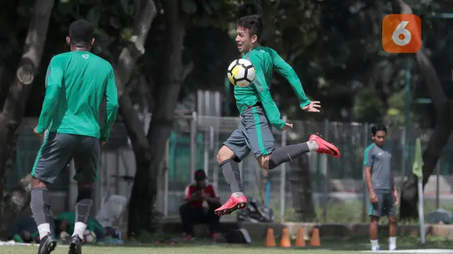 Timnas Sepakbola Indonesia
