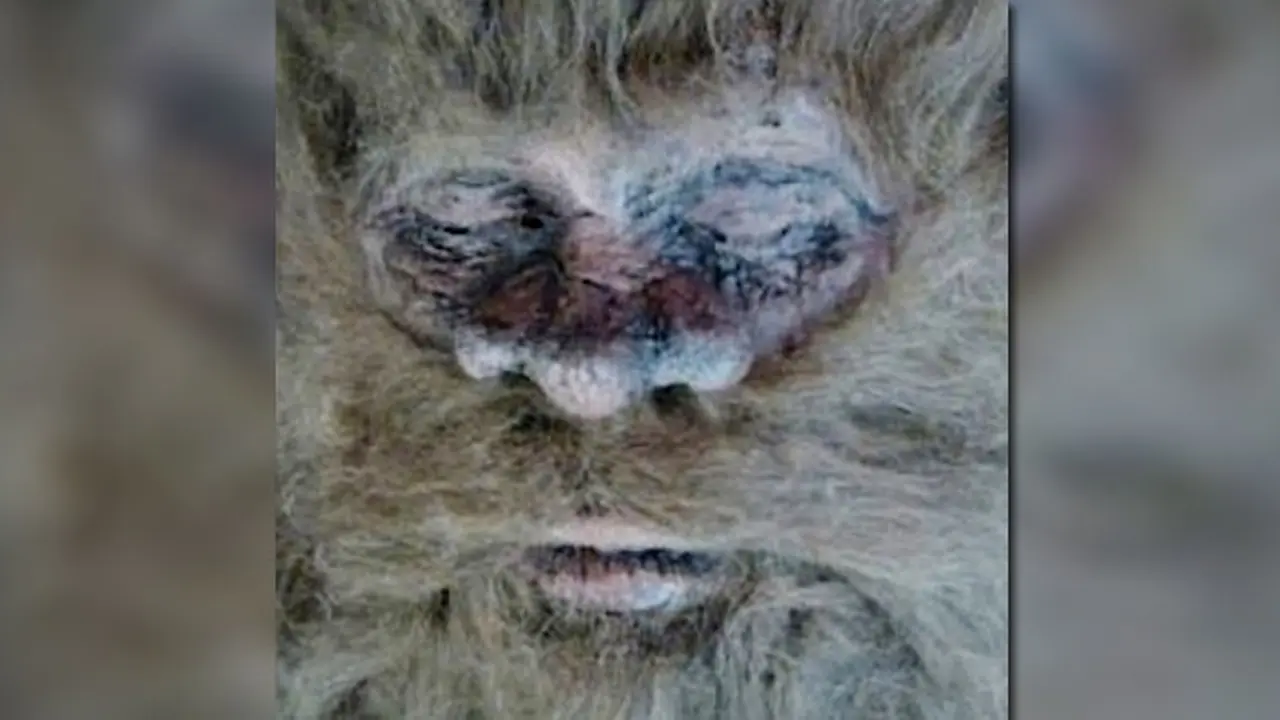 bigfoot-140106b.jpg
