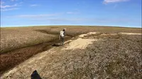 Tanah yang bergetar ditemukan dalam eskpedisi di Belyy Island (The Siberian Times/Alexander Sokolov)