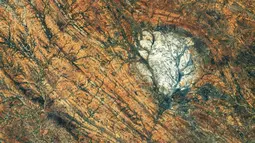 Batu di Madagaskar Mirip Permukaan Bulan, Berusia Lebih dari 600 Juta Tahun