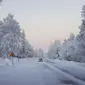 Salju dan embun beku menutupi jalan dan lanskap di desa Vittangi di kota Kiruna, Swedia utara, yang suhunya turun hingga -38,9 derajat Celcius pada pagi hari, Rabu (3/1/2024). (Emma-Sofia OLSSON / TT NEWS AGENCY / AFP)