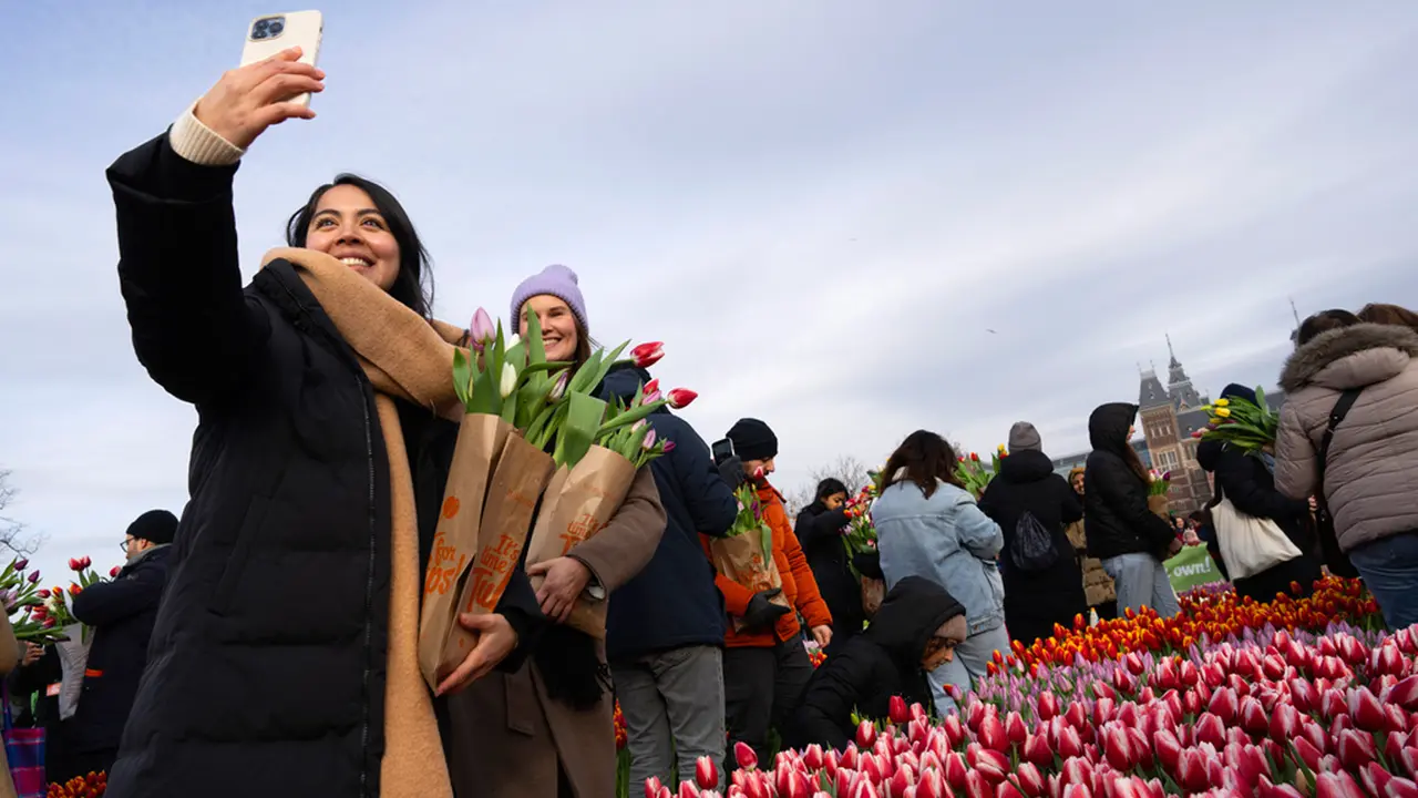 Hari Tulip Nasional Belanda