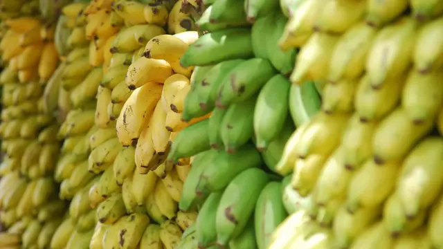 Pisang