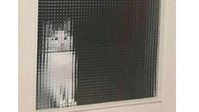 twitter @2007narutoamv