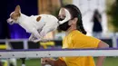 Chihuahua berlari menaiki tanjakan saat Kejuaraan Kelincahan Master Tahunan ke-8 dalam Westminster Kennel Club Dog Show di Lyndhurst Estate, Tarrytown, New York, AS, 11 Juni 2021. Pandemi COVID-19 membuat Westminster Kennel Club Dog Show tahun ini digelar tanpa penonton. (TIMOTHY A. CLARY/AFP)