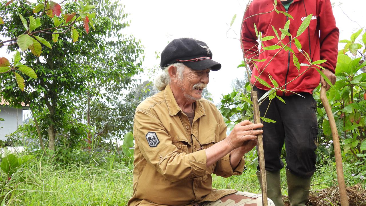 Menanam 100 bibit pohon produksi khas Jawa Barat di area Pusat Penelitian Teh dan Kina Desa Mekarsari.