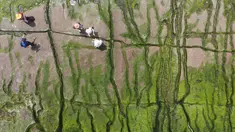 Pemandangan dari udara menunjukkan turis lokal mengunjungi Laomei Green Reef di Distrik Shimen Kota New Taipei (12/4/2022). Terletak tepat di pinggiran Laomei, sebuah desa nelayan kecil di Distrik Shimen New Taipei City, Laomei Reef adalah salah satu tempat wisata yang menakjubkan. (AFP/Sam Yeh)