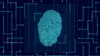 7 Fun Facts About Human Fingerprints