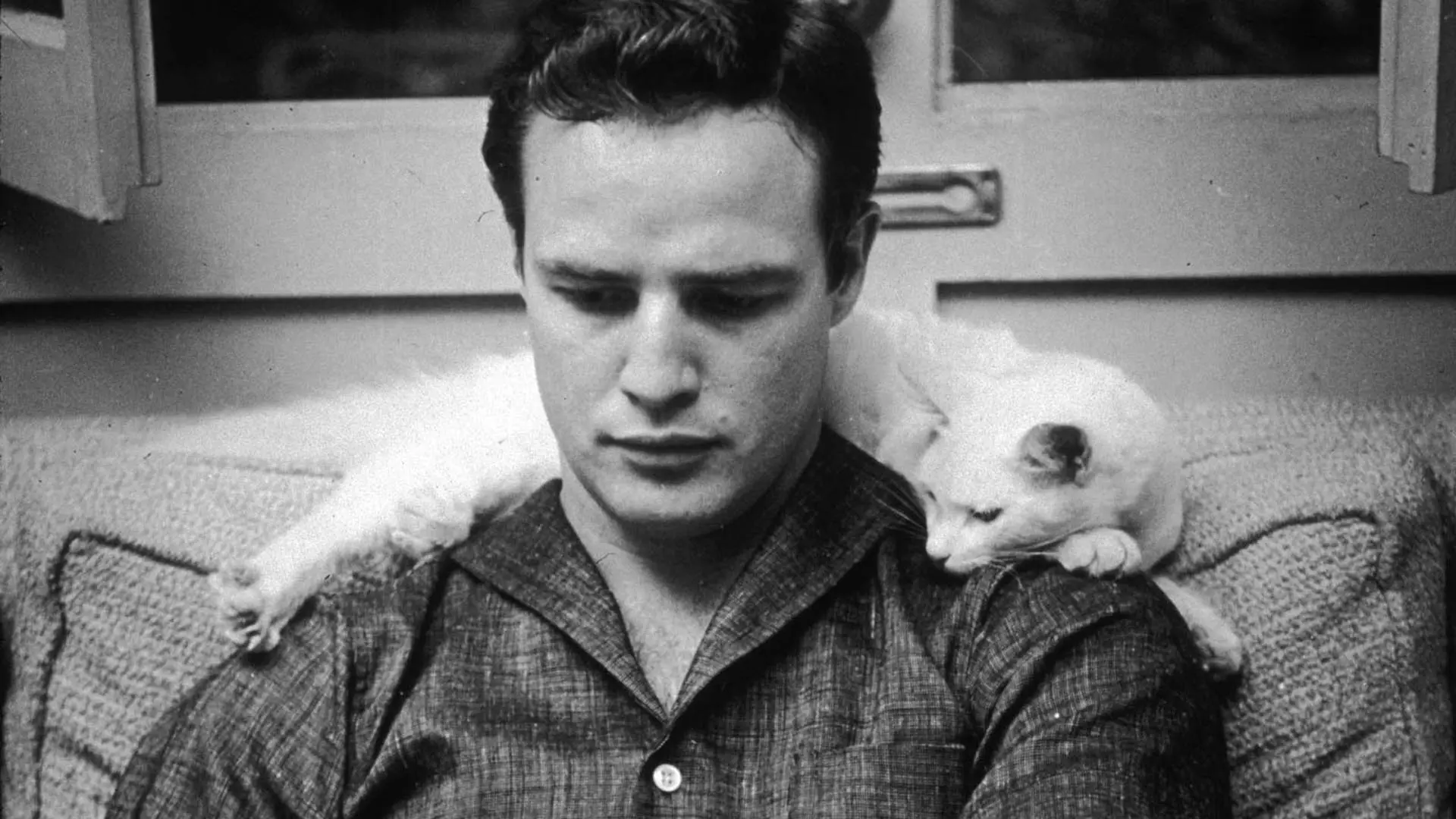 Marlon Brando (Foto: MoviePilot)