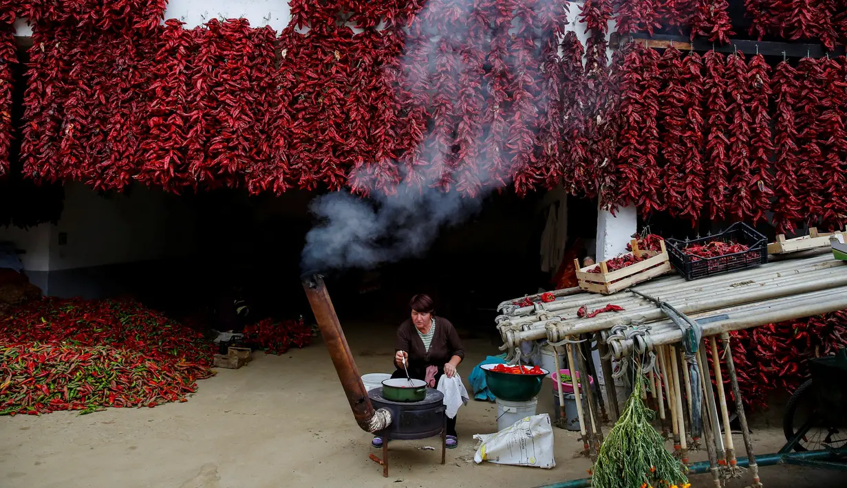 Warga memasak di depan rumahnya yang penuh dengan paprika merah yang digantung pada tembok untuk dikeringkan, di Desa Donja Lakosnica, Serbia, 6 Oktober 2016. Saat musim panen, warga menjemur paprika di dinding hingga atap rumah. (REUTERS/Marko Djurica)