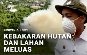 Kebakaran Hutan dan Lahan Meluas