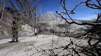 Petugas saat melakukan operasi pencarian warga atau korban akibat letusan Gunung Sinabung di  desa Gamber, Karo, Sumatera Utara, (23/5).Desa Gamber sendiri merupakan kawasan zona merah Gunung Sinabung. (GATHA GINTING / AFP)