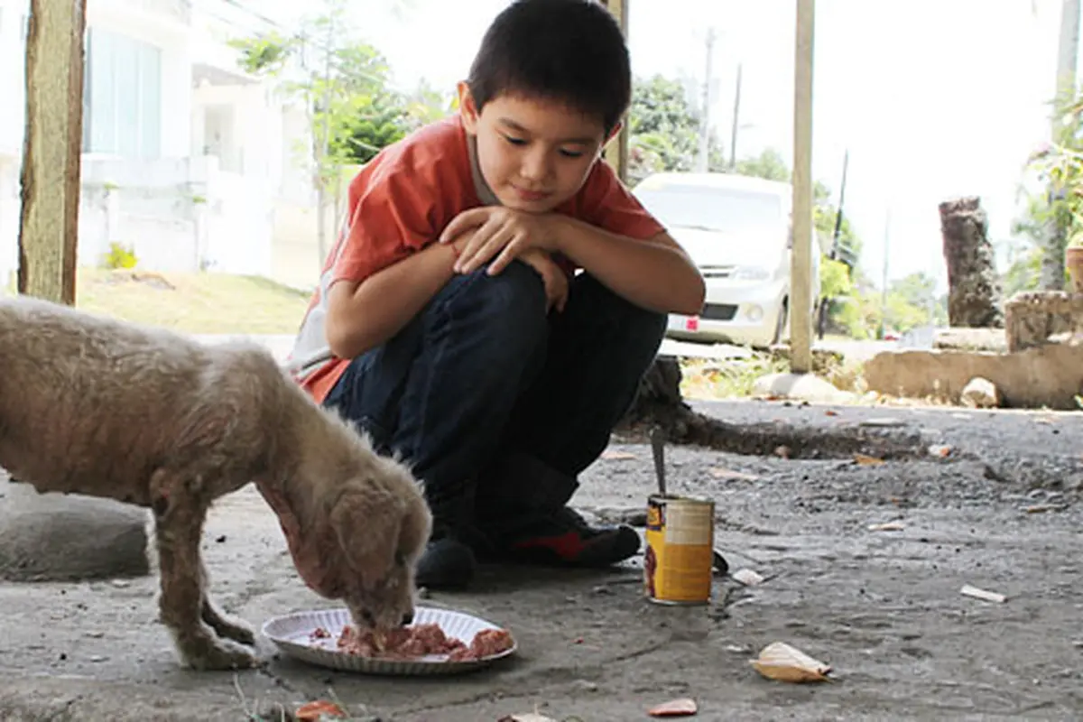 Foto: copyright huffingtonpost.com