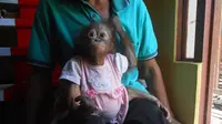 Bapak angkat Unyu sempat diminta polisi untuk menyerahkan si bayi orangutan, tapi ditolak. (Liputan6.com/Raden AMP)