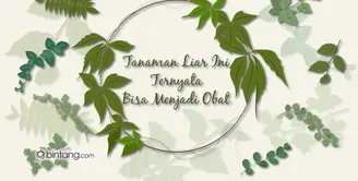 Tanaman Liar yang Bisa Menjadi Obat