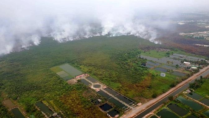 Jika Status Karhutla Darurat, Perlu Ada Beberapa Sarana di Lokasi Pengungsian