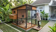 8 Ide Kandang Ayam Anti Bau dan Becek, Tips Menjaga Lantai Tetap Kering Sepanjang Musim