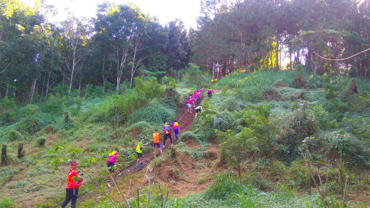 Banyuwangi Ijen Green Run