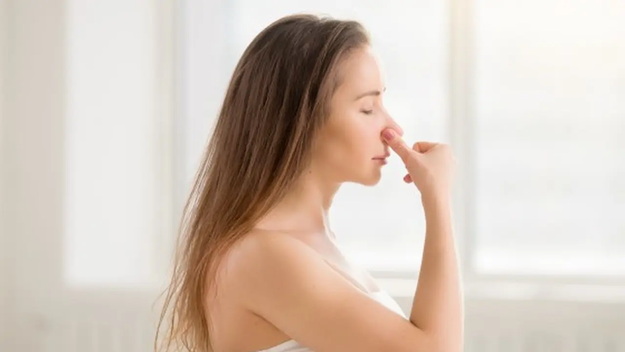 Menjadi Proteksi Untuk Rongga Hidung