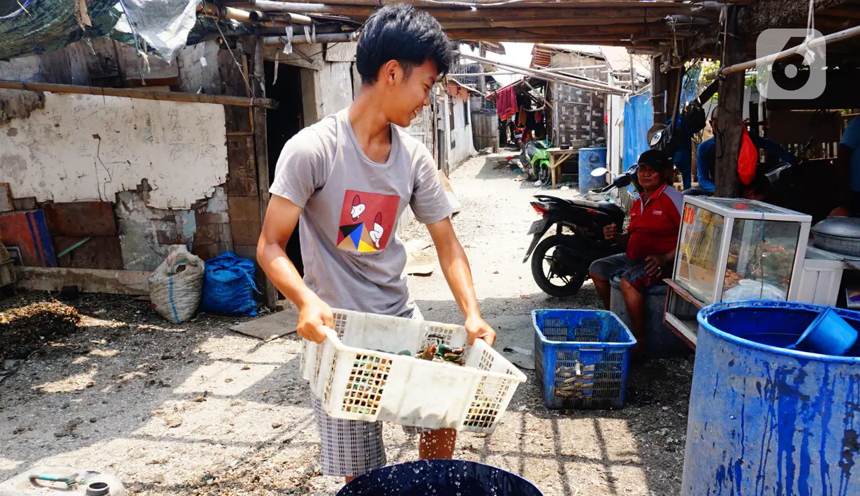 Pekerja membawa kerang hijau di Kawasan Dadap, Kecamatan Kosambi, Kabupaten Tangerang, Rabu (22/9/2021). Kerang hijua tersebut dijual dengan harga Rp 20 ribu per kilogramnya di wilayah Tangerang Raya.. (Liputan6.com/Angga Yuniar)