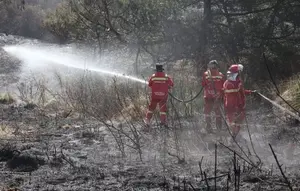 Titik Api Padam Seluruhnya, Luasan Area Gunung Bromo Capai 1.121 Hektare